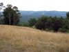 View from "Cherry Meadow," a secluded hidaway along County Road 18 just before it splits to take the back road traveler to either Island Creek or Lick Creek.